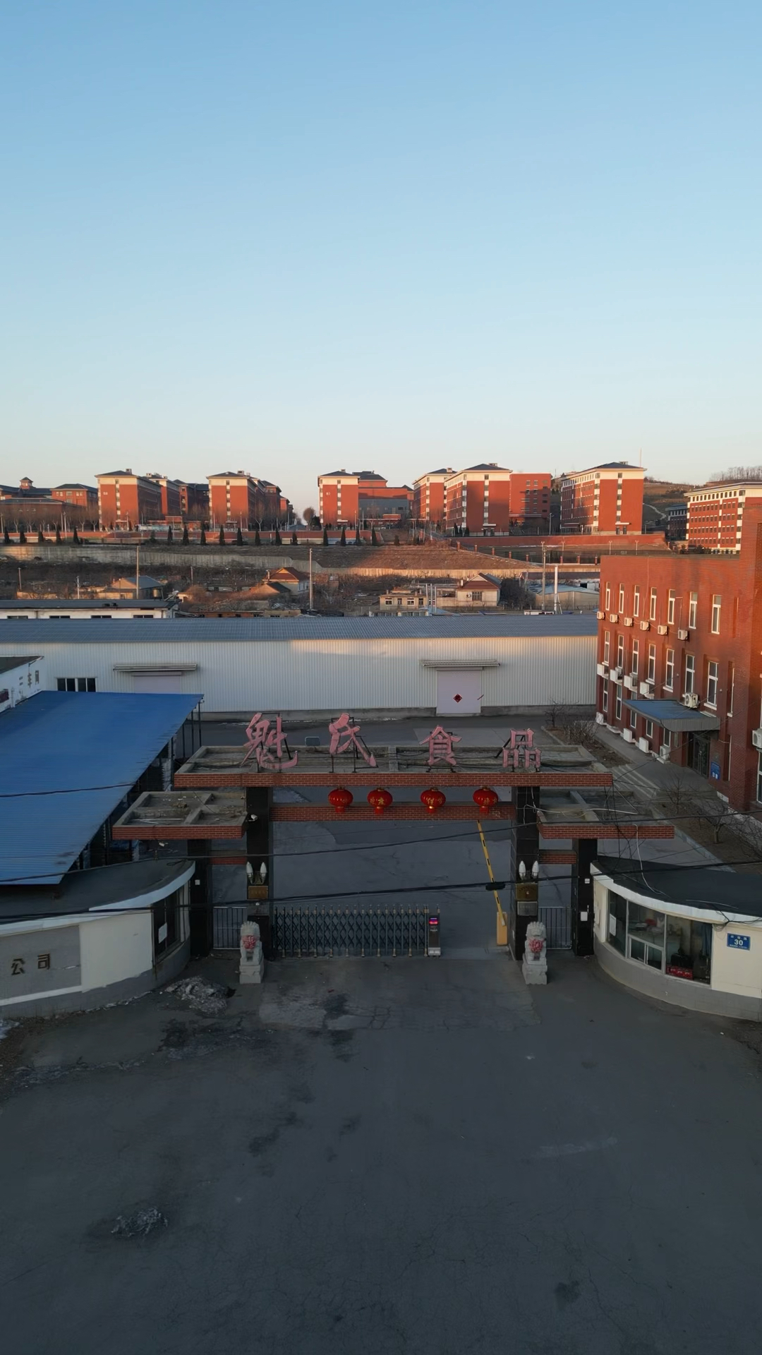 石河三大罐头厂之魁牌#大连同城 #罐头