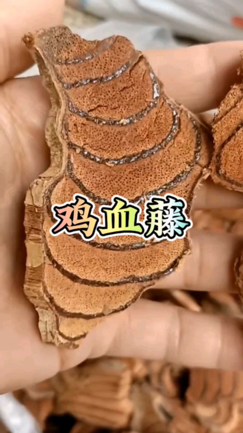 今日分享,鸡血藤!