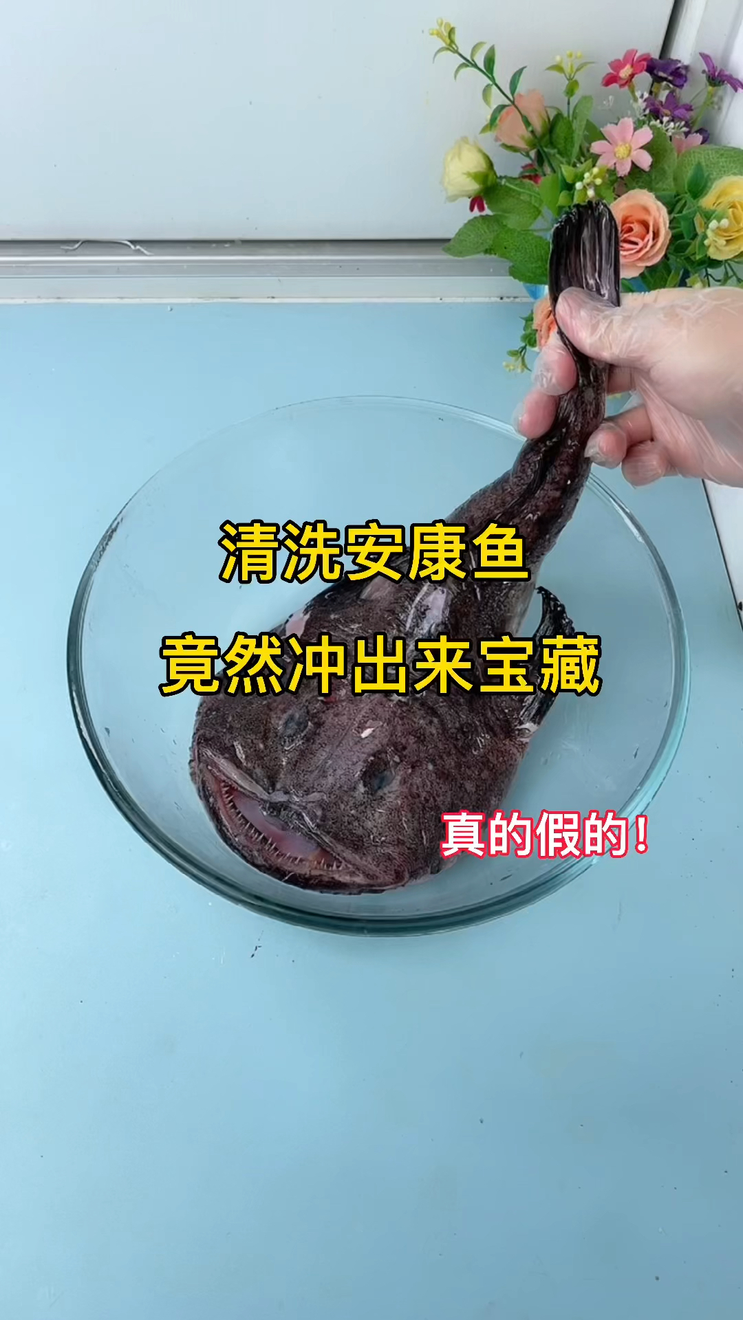据说安康鱼肚子里面藏有东西?