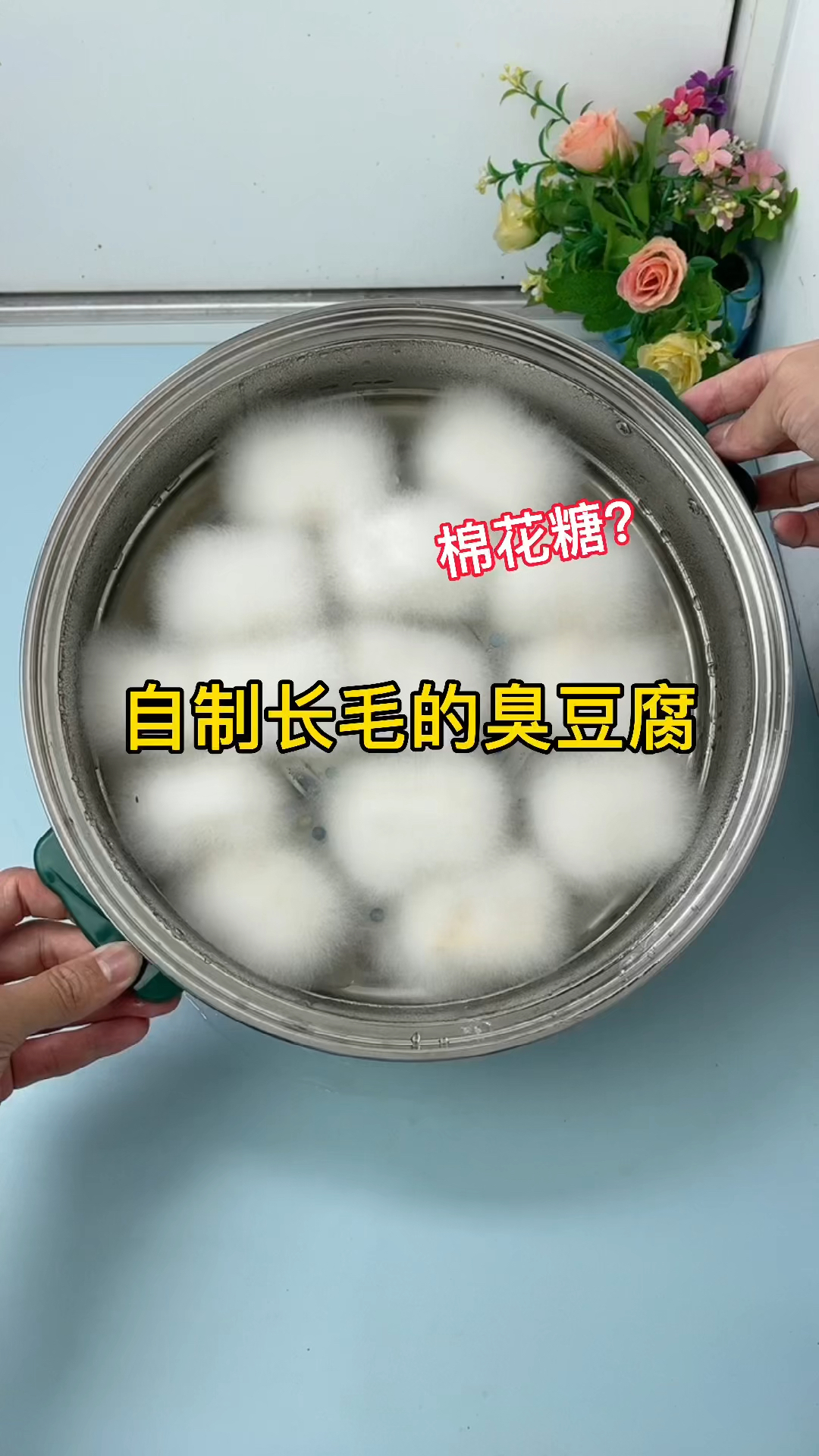 自制长毛的臭豆腐!