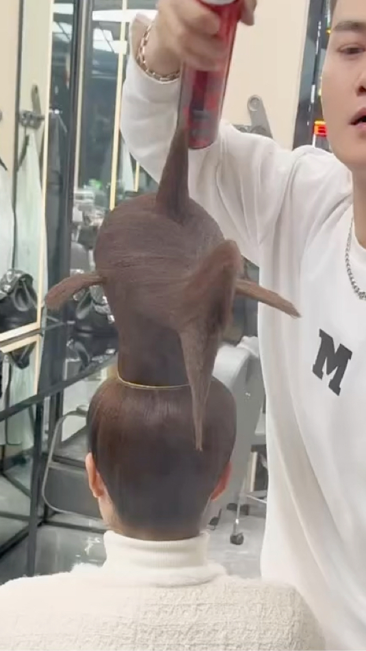 这做的是鲨鱼头发型吗