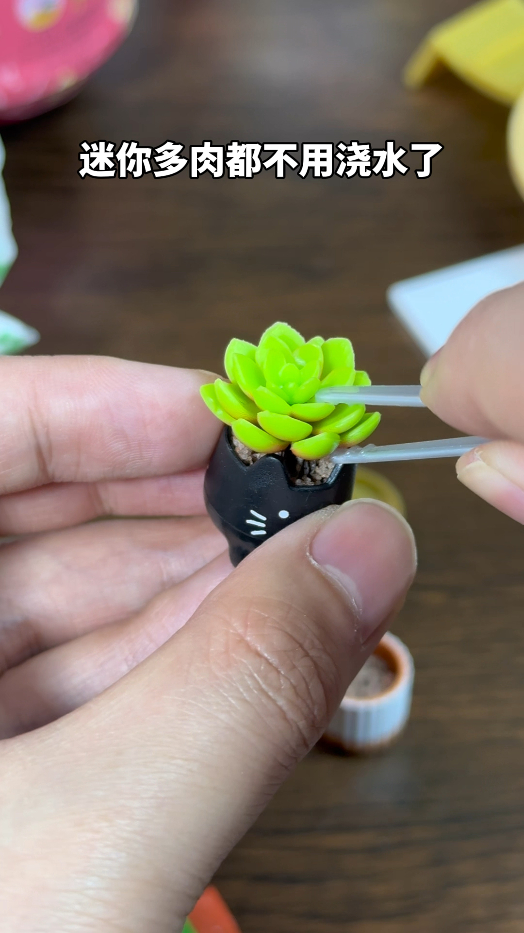 这么小的鱼缸能养鱼吗|迷你造景玩具球