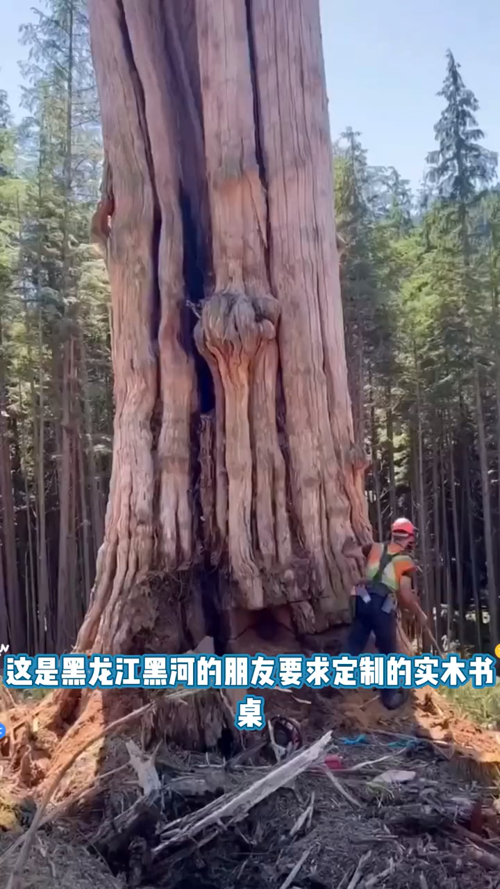 黑金檀实木书桌