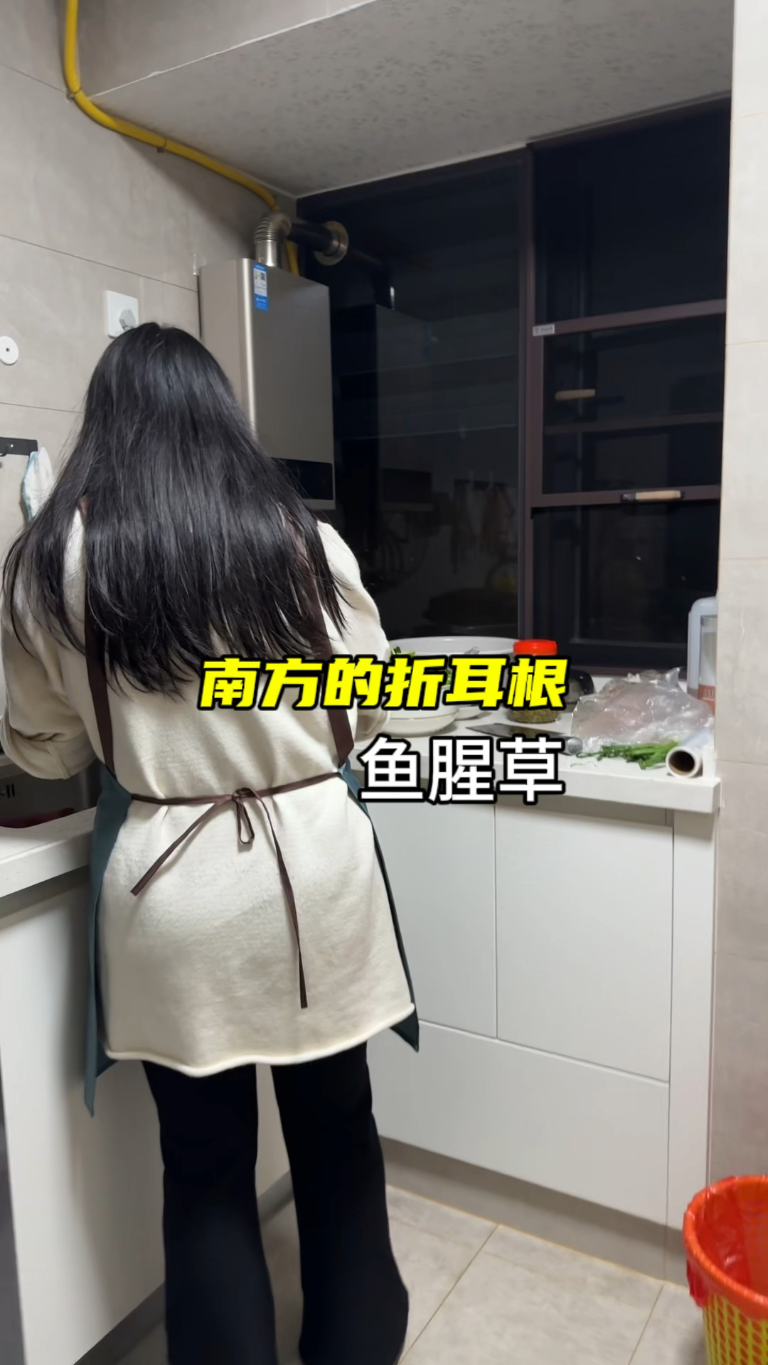 认识一下我们南方人的折耳根,大山里的一道菜:野生鱼腥草。