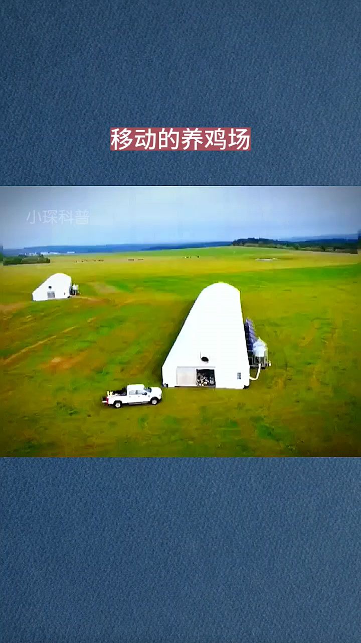第一次见这种移动的养鸡场