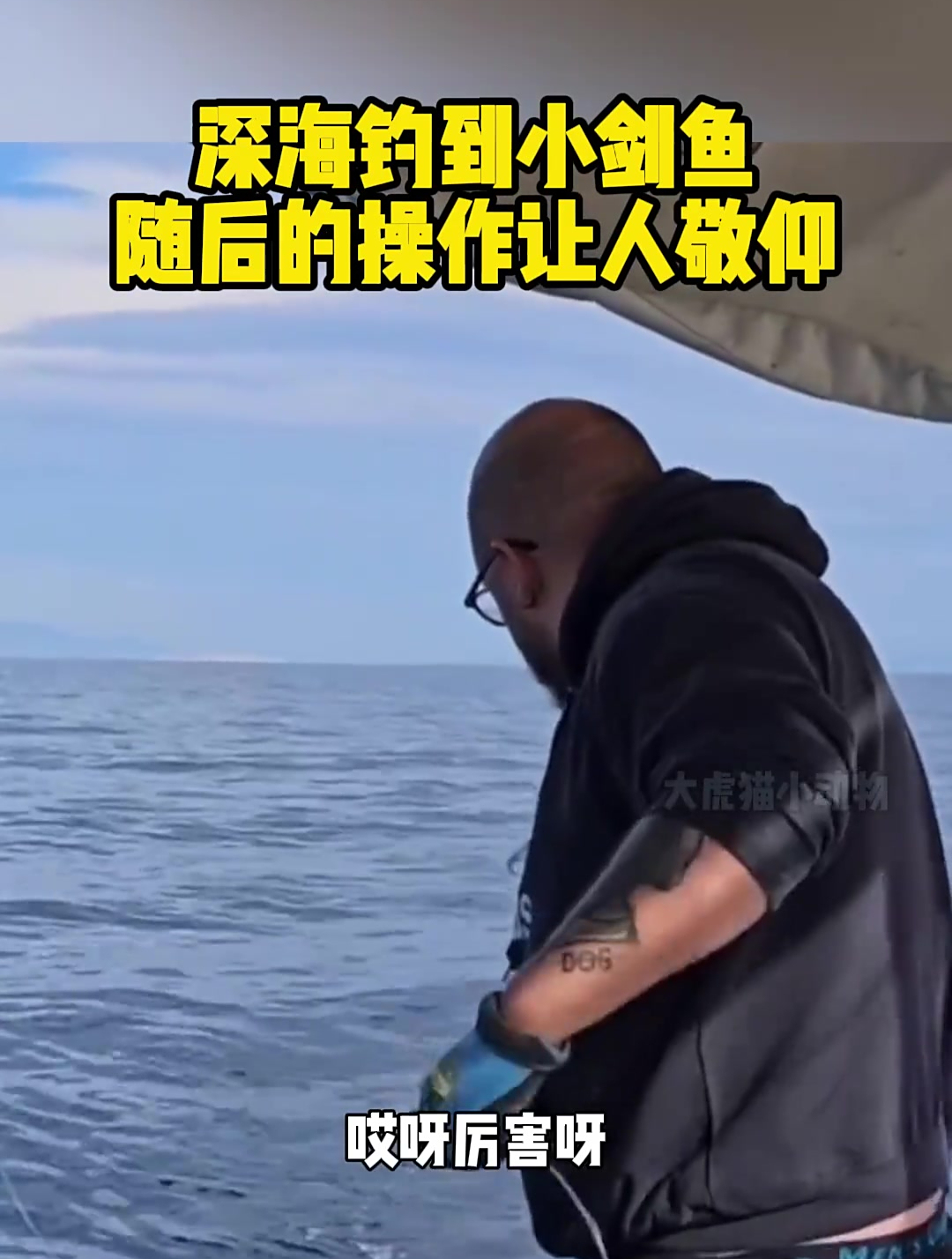 深海钓到小剑鱼,随后的操作让人敬仰