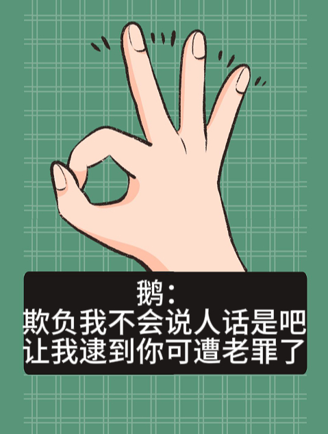 鹅:欺负我不会说人话是吧,让我逮到你可遭老罪了!