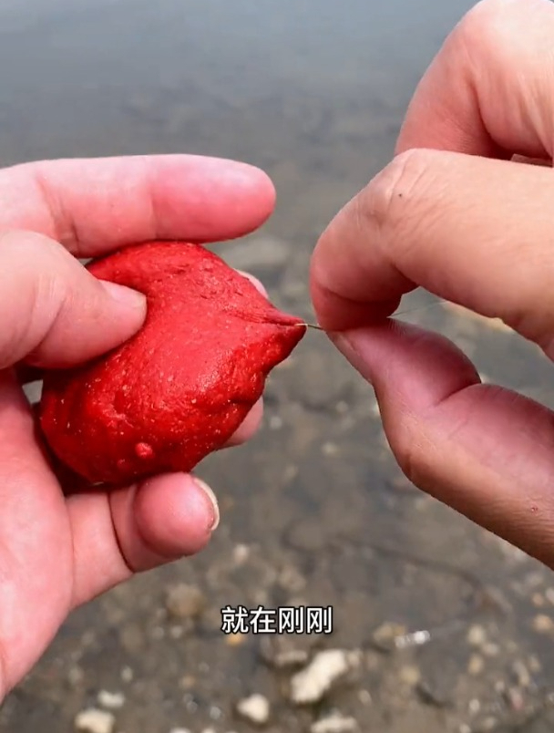 面筋饵专用溪流钓石斑鱼,但90%钓友都用错方法!