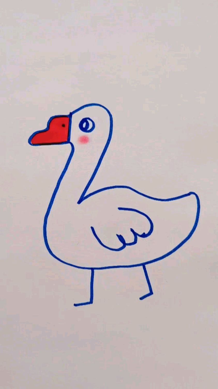 超级简单画白鹅!