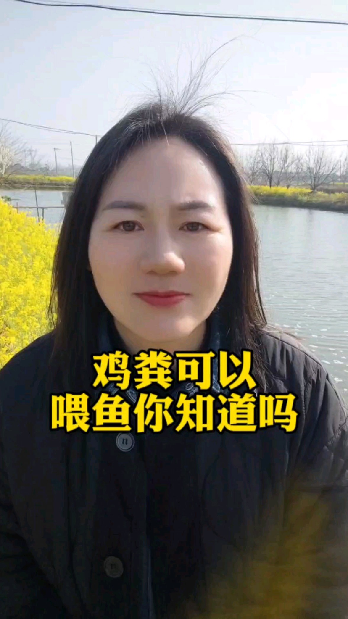 鸡粪可以喂鱼你知道吗#四大家鱼养殖#鱼虾蟹水产养殖