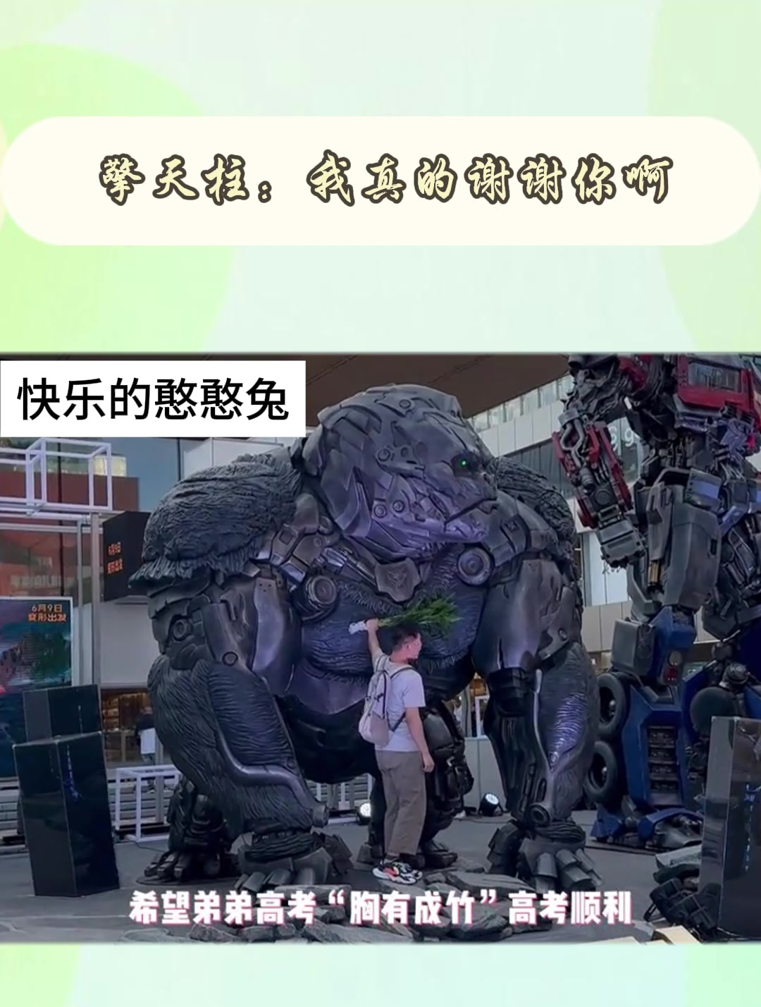 擎天柱:我真的谢谢你啊