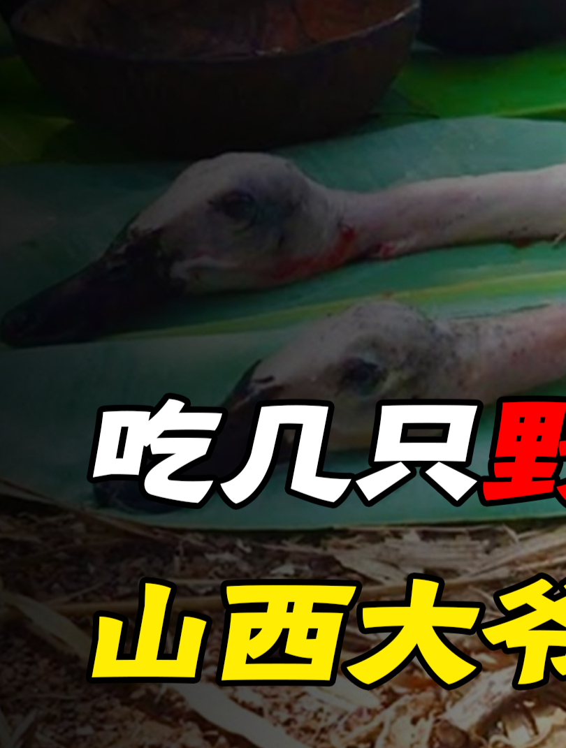 仅仅捕捉田头野鸭子,山西农民就被判刑!这是为啥呢?