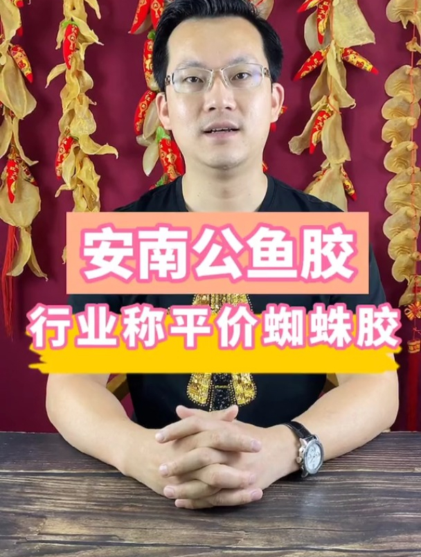 安南公鱼胶——行业称平价蜘蛛胶 鱼胶 花胶 蜘蛛胶 潮汕