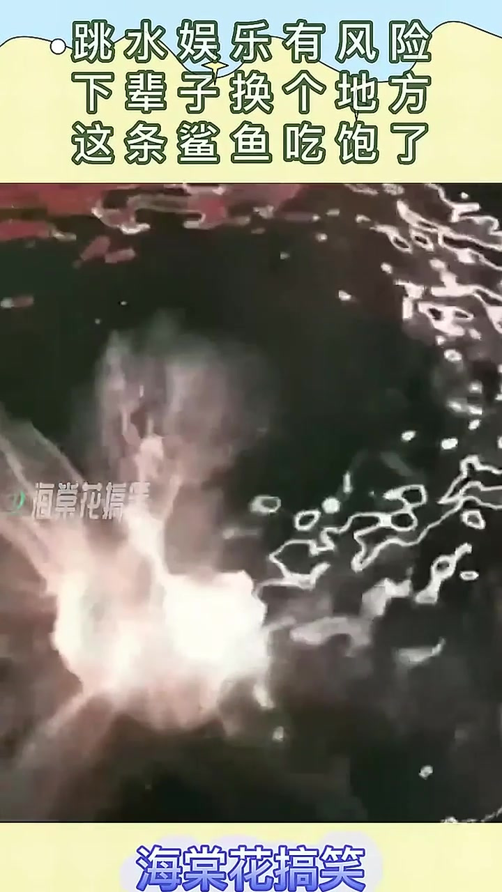 跳水娱乐有风险,下辈子换个地方,这条鲨鱼吃饱了!段子