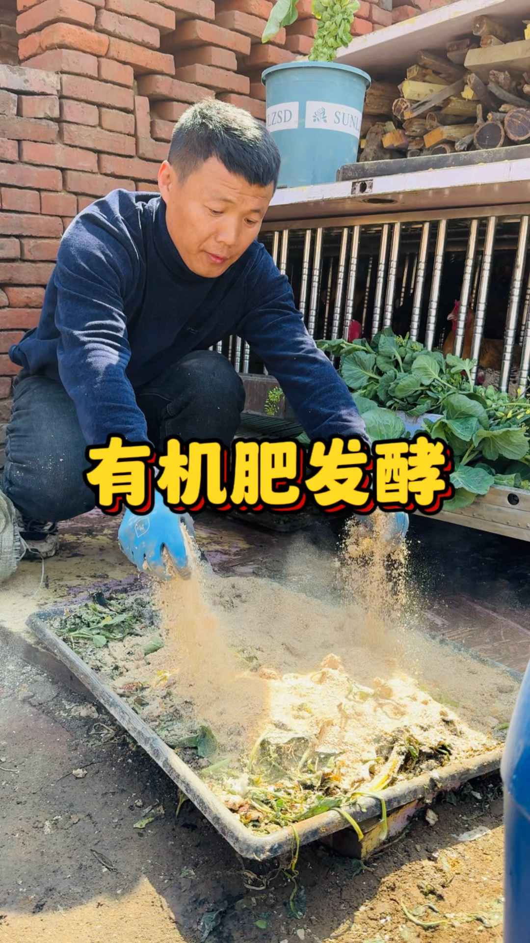 鸡粪,鸭粪,鹅粪,羊粪猪粪,各种饼肥怎么发酵快,没异味