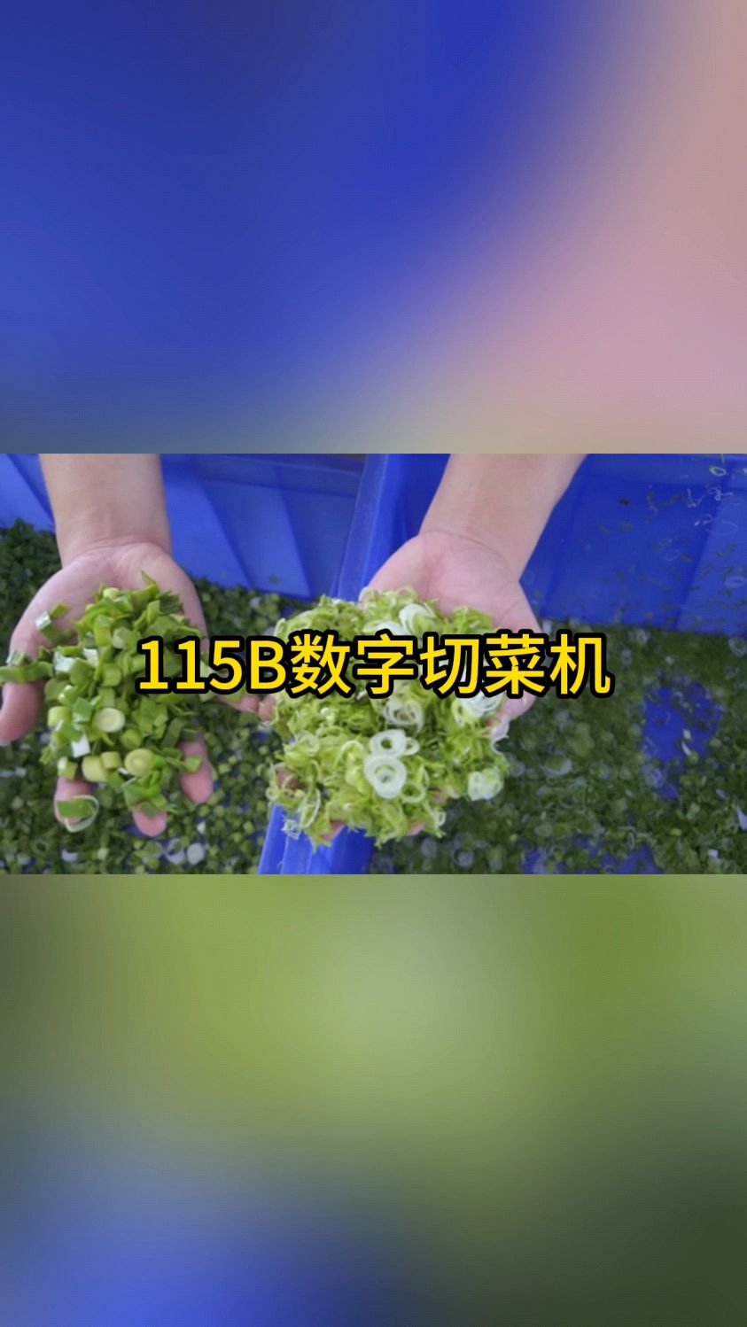 数字变频切菜机,适用于叶菜类、根茎类蔬菜的切片、切条、切丁。