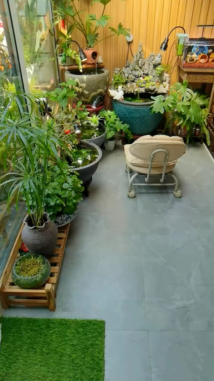 年纪越大,越喜欢跟花花草草,虫虫鱼鱼在一起,因为跟人在一起累