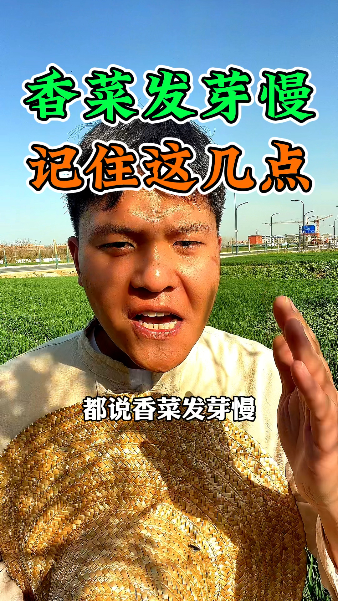 都说香菜发芽慢,今天分享一下香菜种植的小技巧