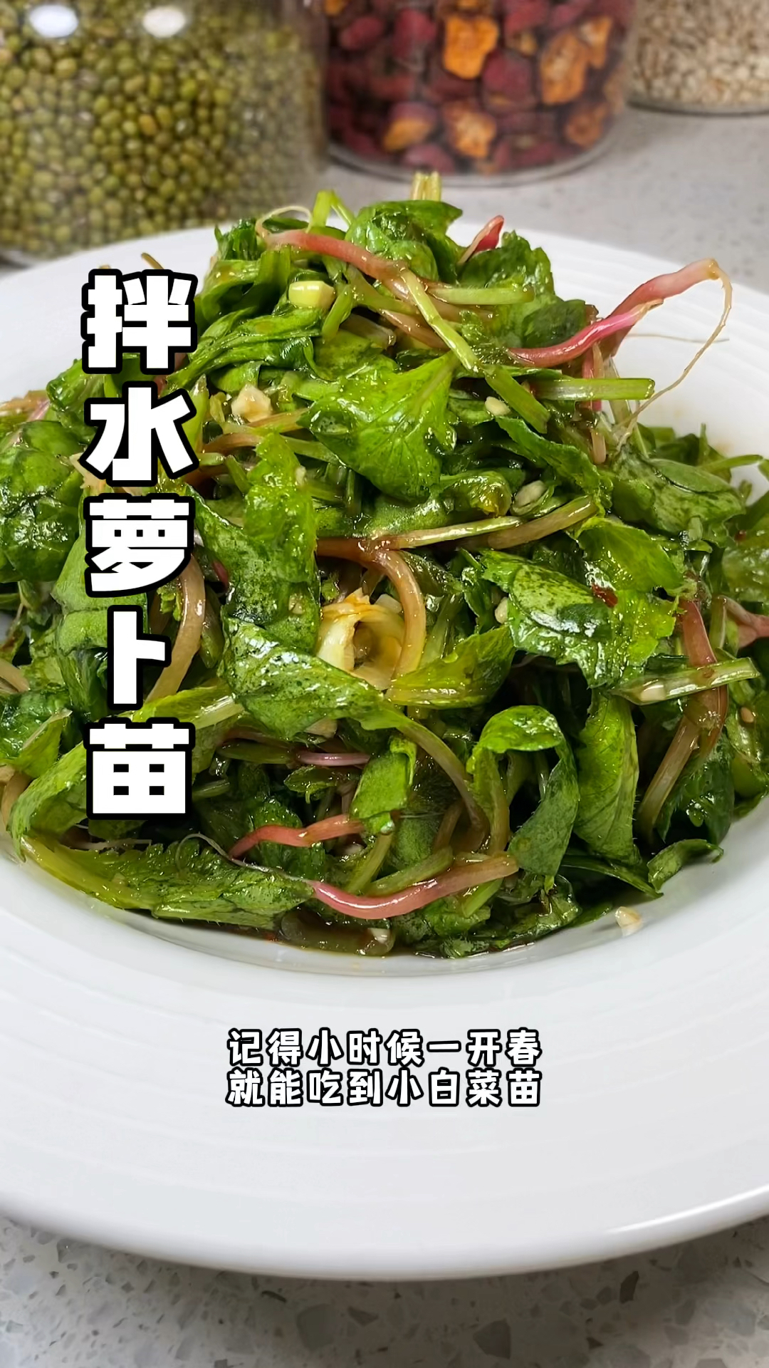 #拌水萝卜苗 春天正是吃芽苗菜的时候,脆嫩爽口微酸微辣还好吃!