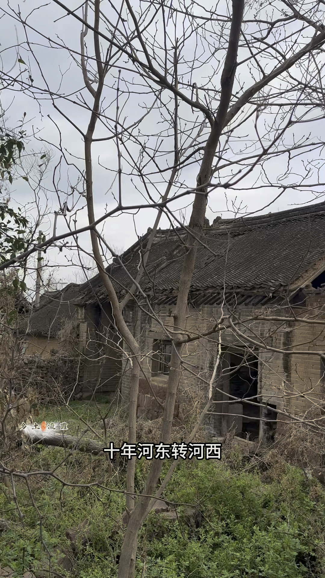 十年河东转河西,莫笑他人穿破衣。莫讲自己了不起凤凰脱毛不如鸡