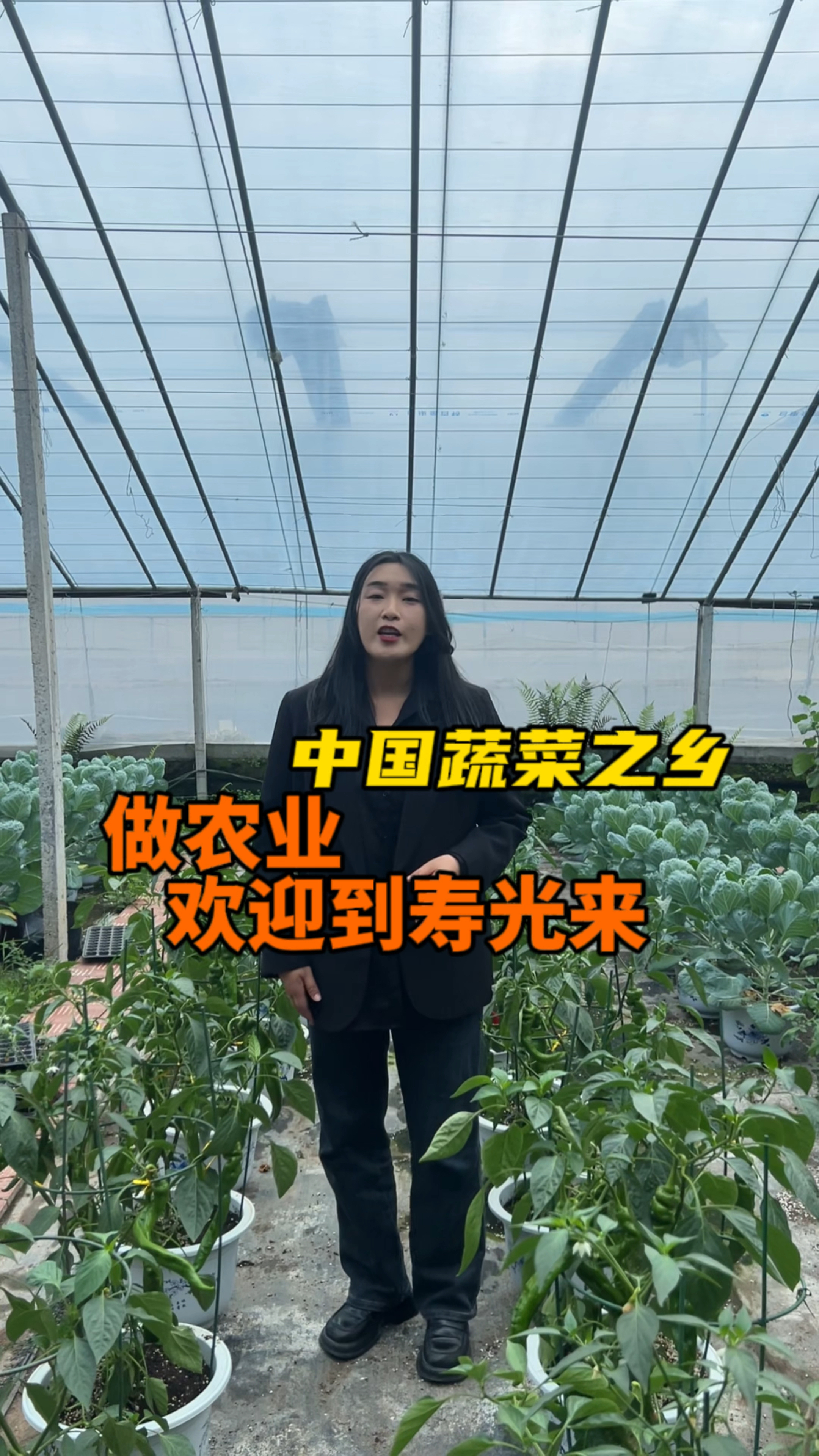 寿光是中国蔬菜之乡,做农业欢迎到寿光来