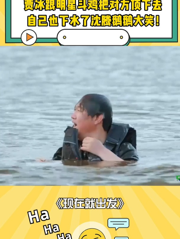 贾冰跟明星斗鸡,把对方顶下去自己也下水了,沈腾鹅鹅大笑!