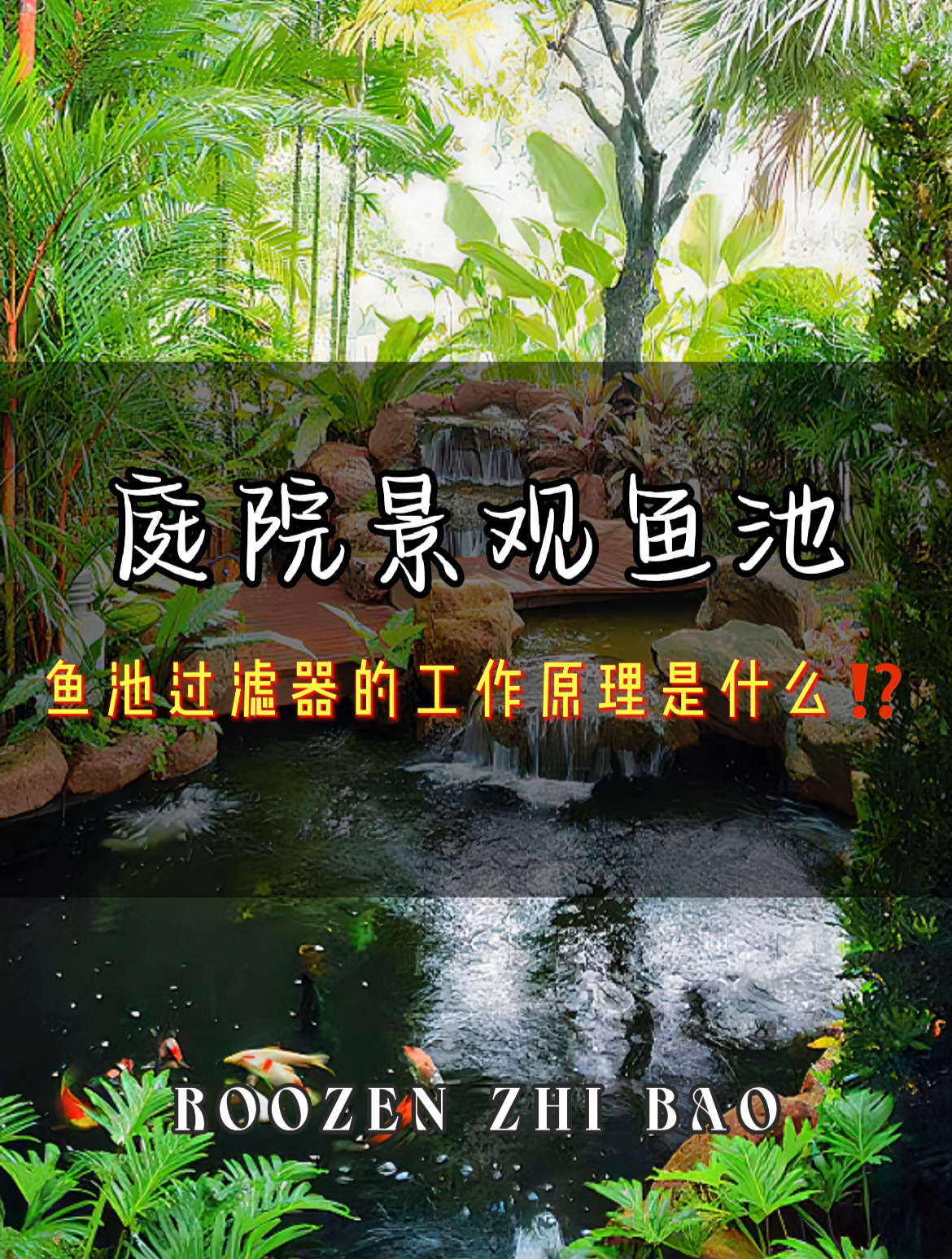 「庭院鱼池」过滤系统的工作原理讲解