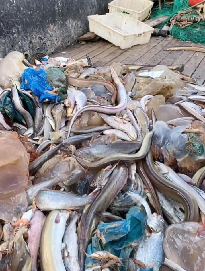 鱼民实拍,出海捕鱼,船员日常工作