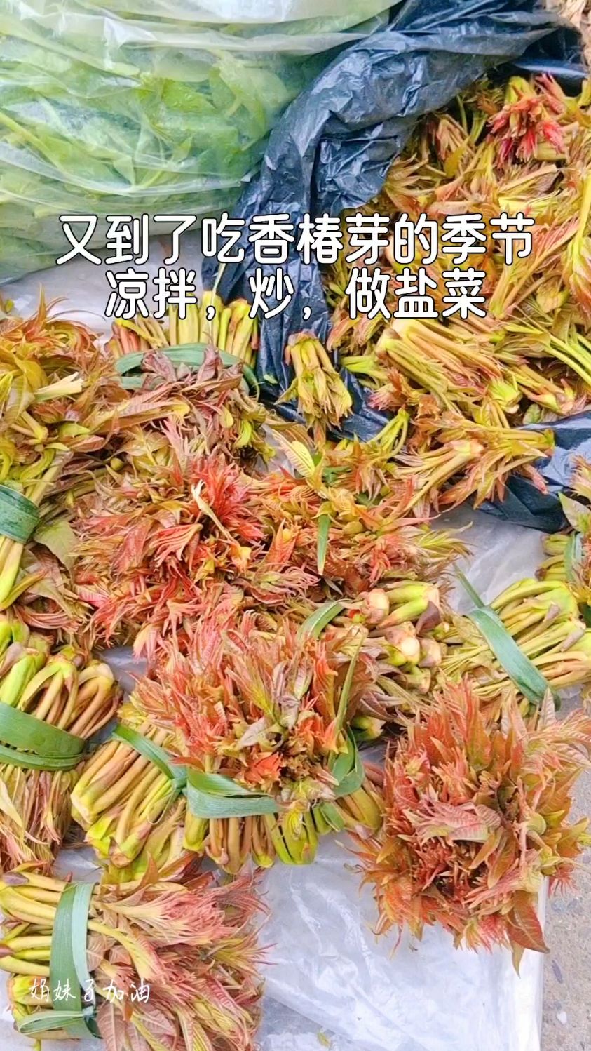 四川农家香椿芽又上市了,凉拌,炒,做盐菜,你喜欢哪种吃法呢?