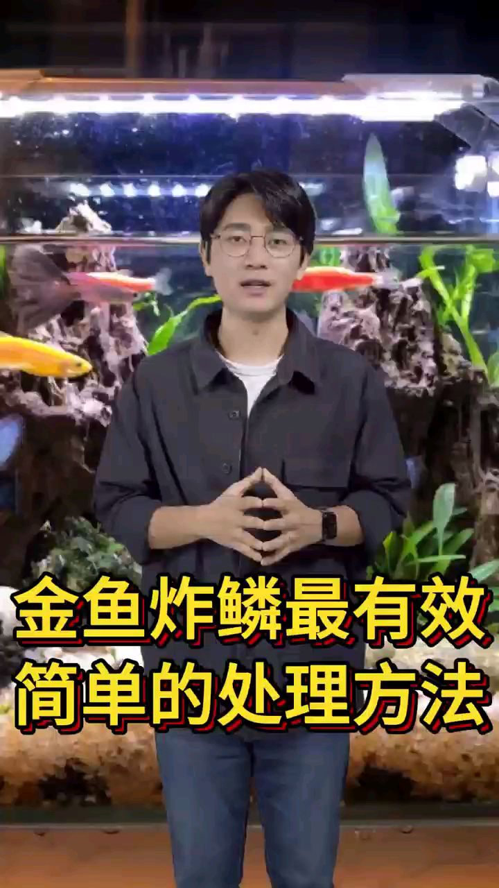 金鱼炸鳞最有效简单的处理方法