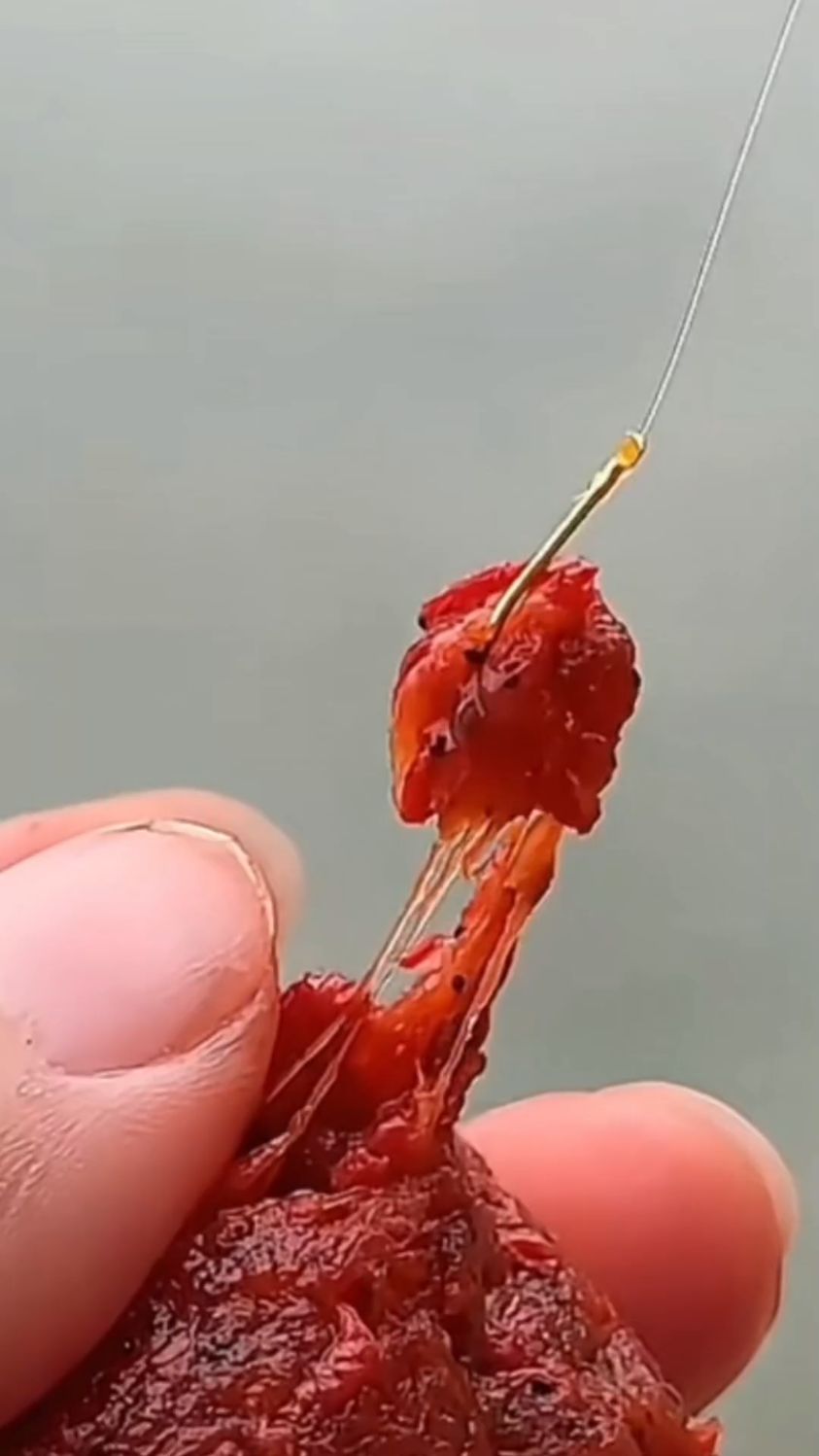 绝密小懒虫鲜虾饵,专攻大板鲫,满满一包的虾肉,开袋即用!
