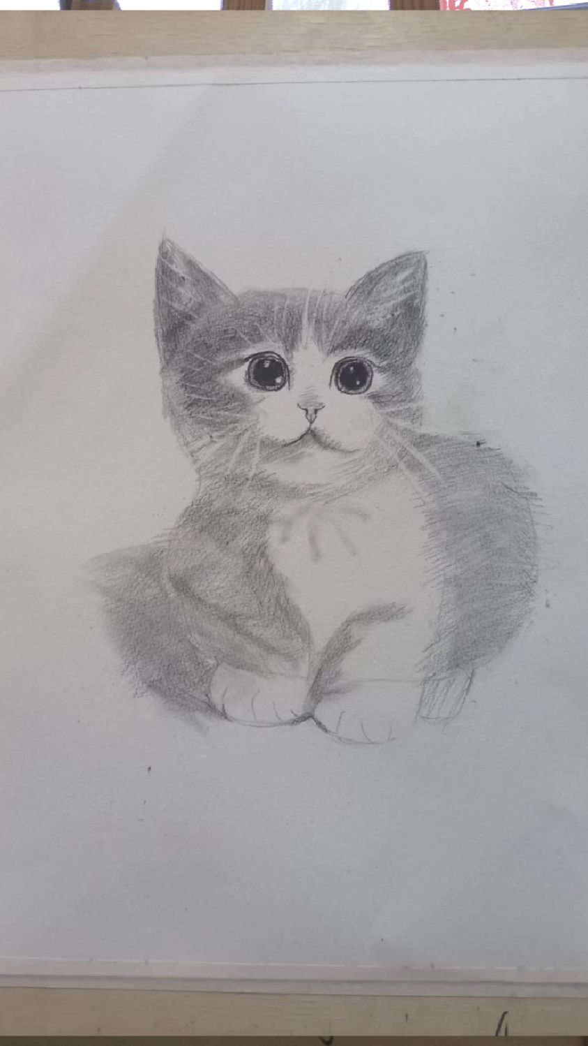 画个小猫咪的素描