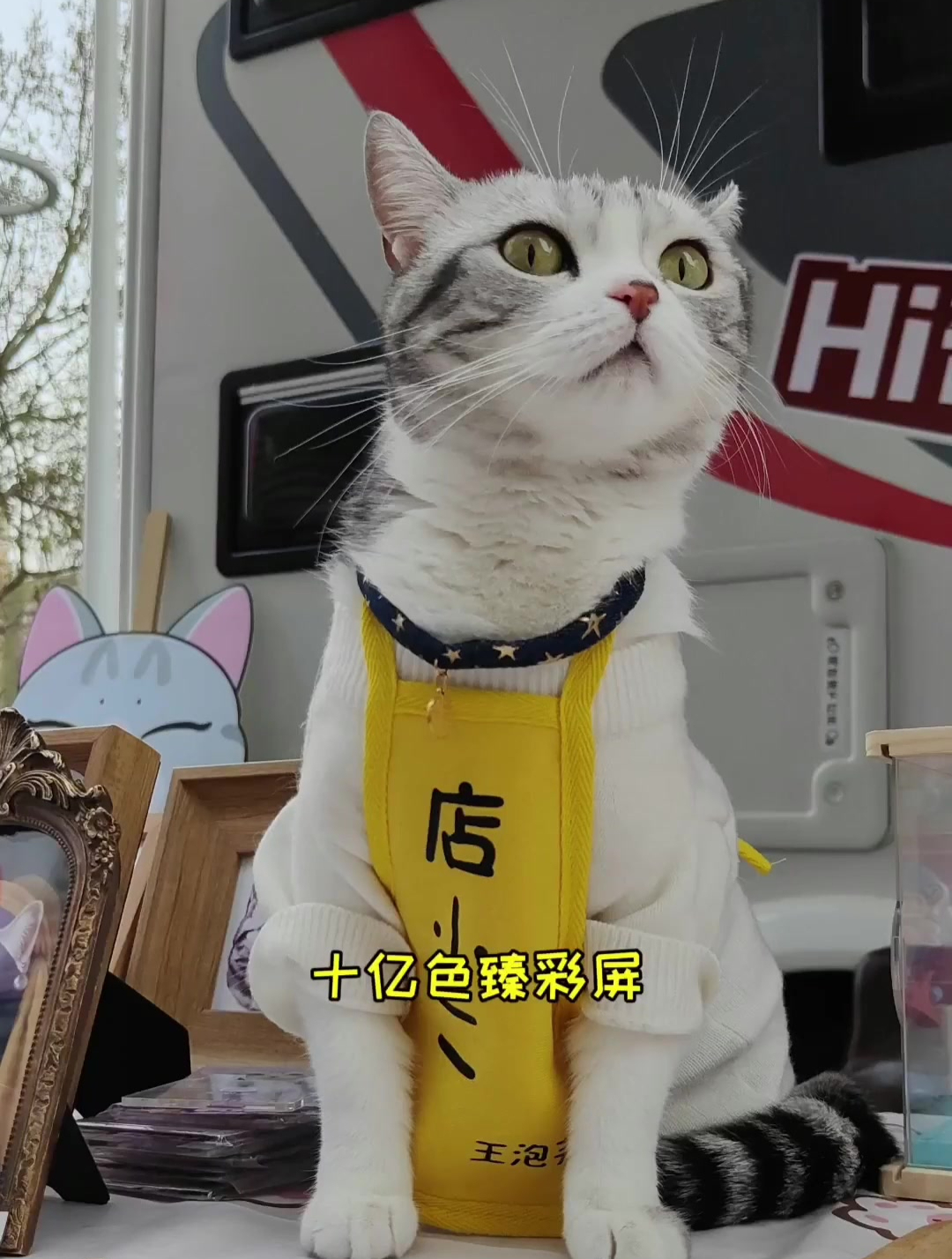 泡芙的小卖铺开张了,哈哈哈