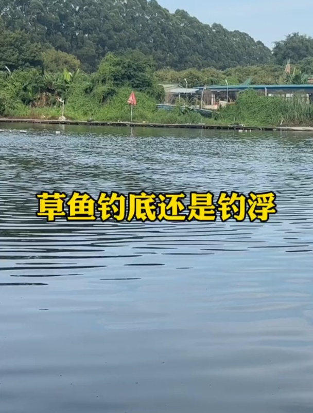 草鱼钓底还是钓浮?钓友多年垂钓经验总结出这个口诀!