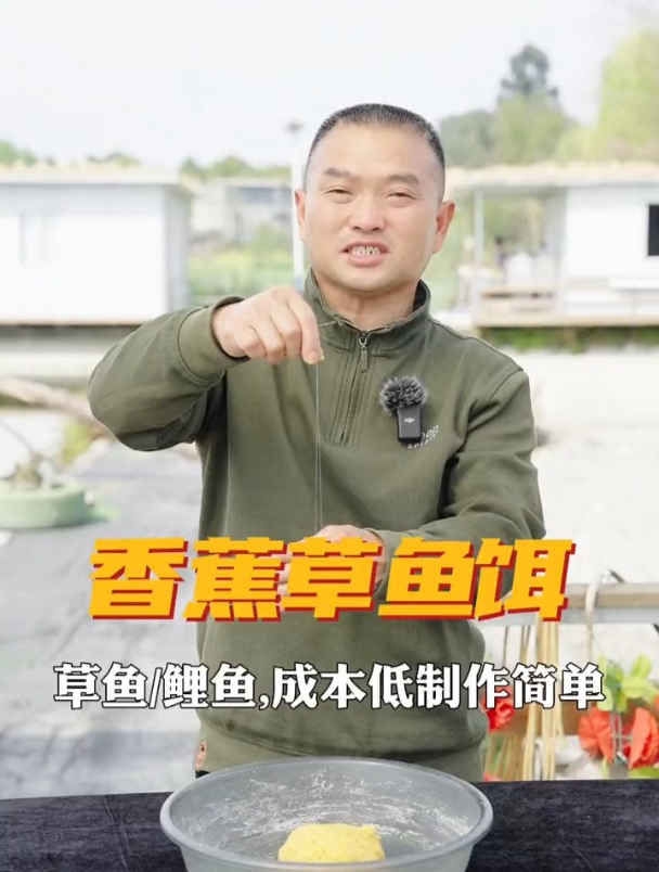 香蕉+鸡蛋为什么能成为钓草鱼神器?老钓友现场揭秘!