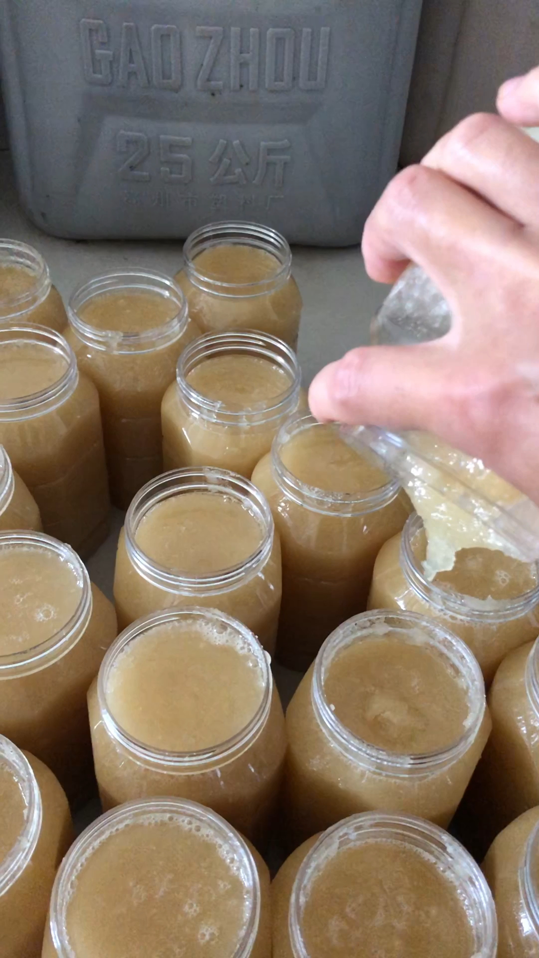 鸭脚木冬蜜都是野生而且药用价值在所有蜂蜜中是最高的