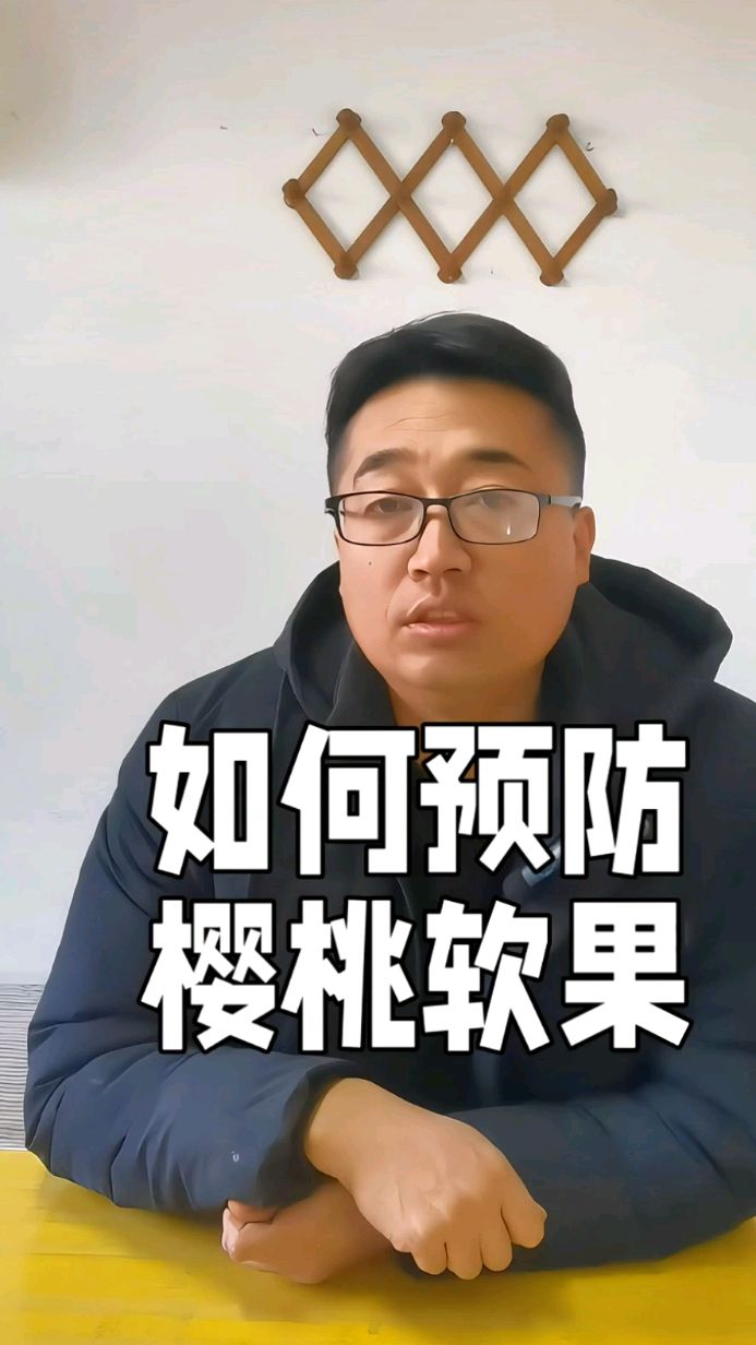 预防樱桃软果:科学合理冲施硫酸钾复合肥是关键