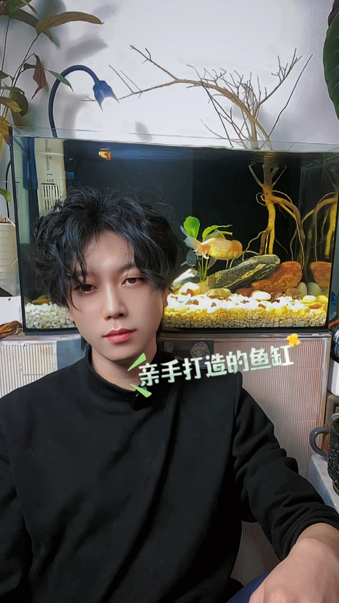 看看漂亮不?我自己亲手打造的鱼缸哦!