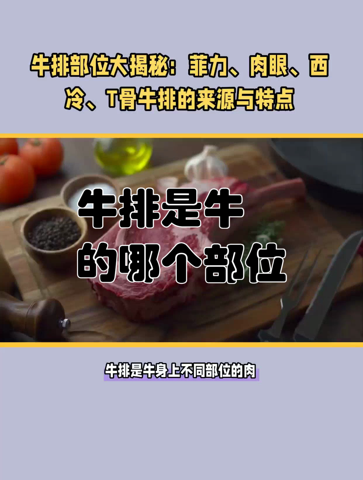 牛排是牛的哪个部位