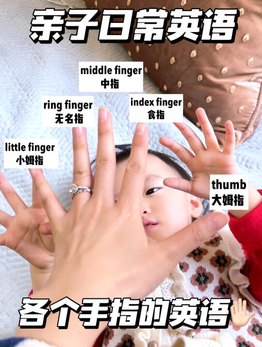 亲子英语181/认识手指/ 用英语怎么说