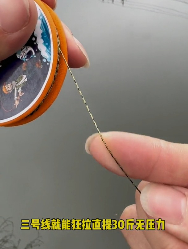 自带鱼钩的大力马线组,真实效果如何?和普通线组有什么区别?