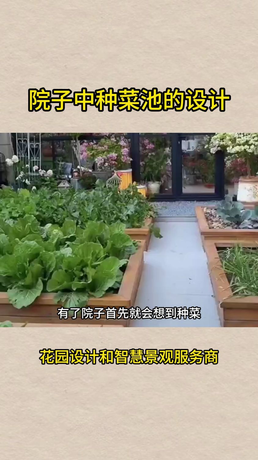 院子中种菜池的设计