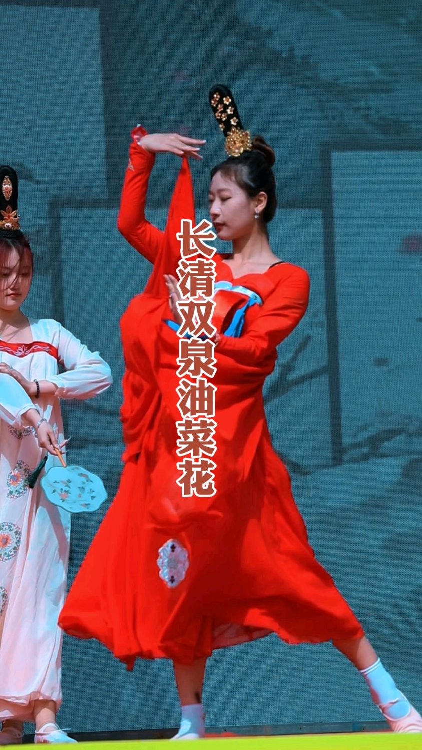 济南双泉油菜花开启观赏模式