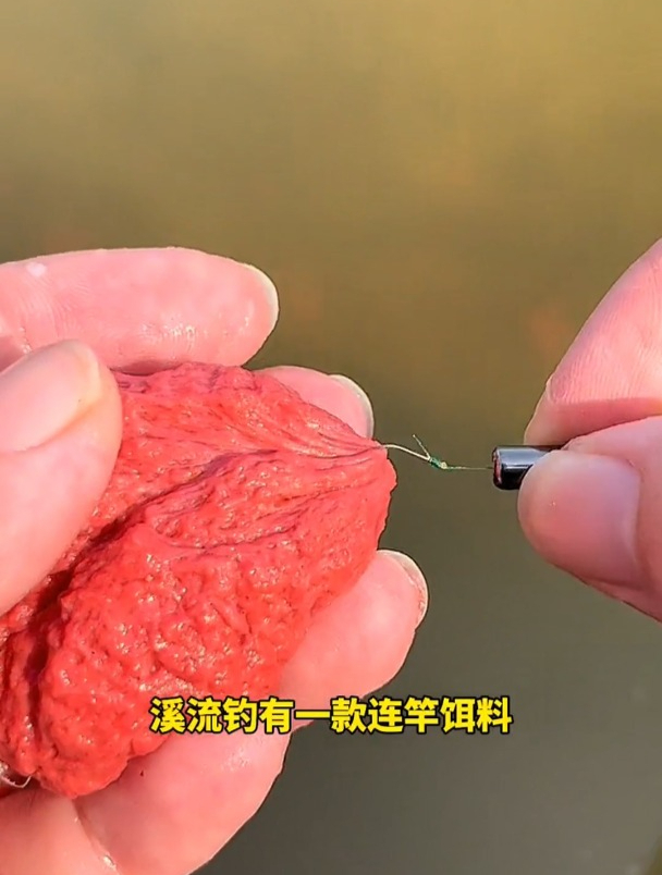 面筋饵专用溪流钓石斑鱼,但80%钓友却用错方法,难怪钓不到!