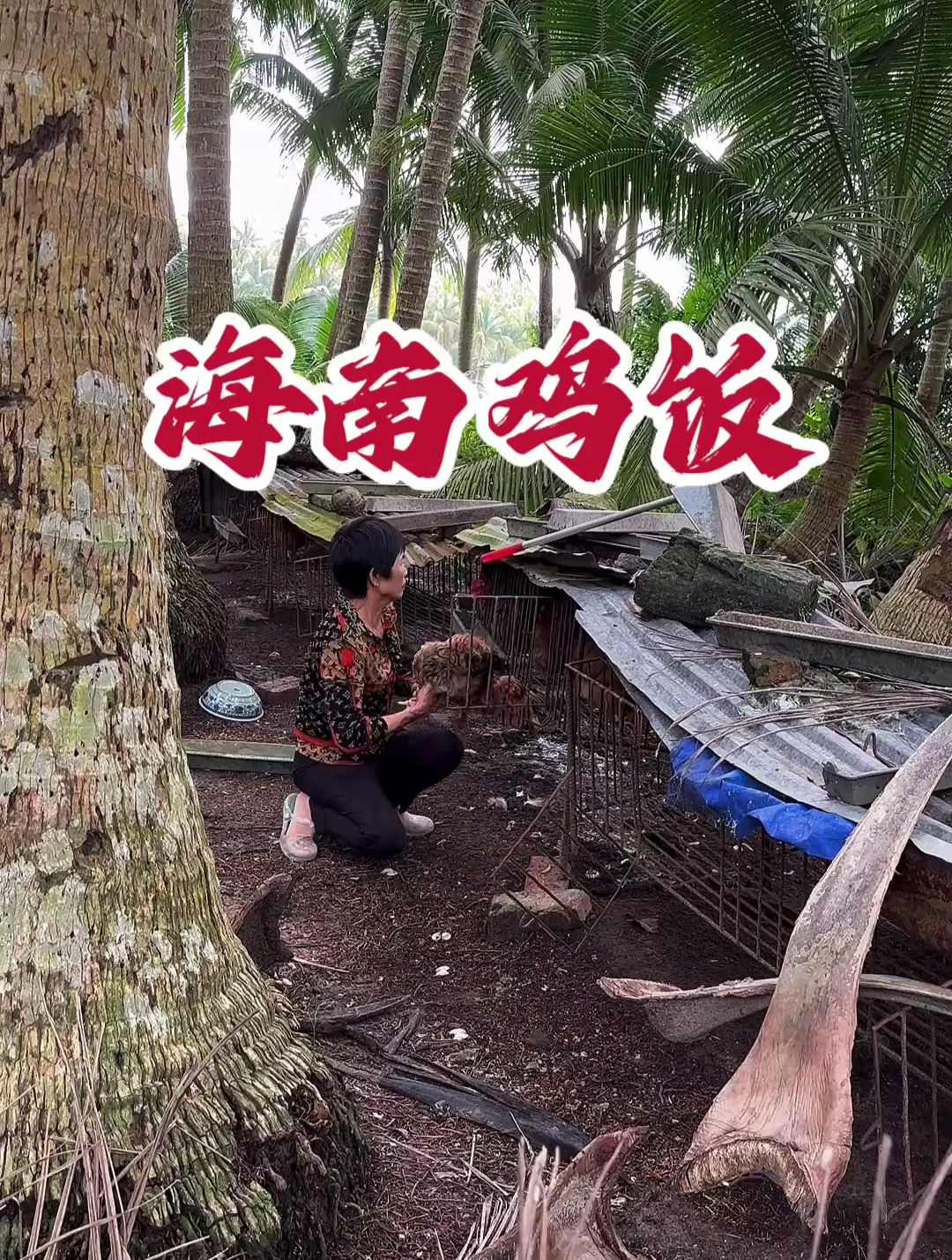 海南鸡饭,文昌鸡吃了五顿