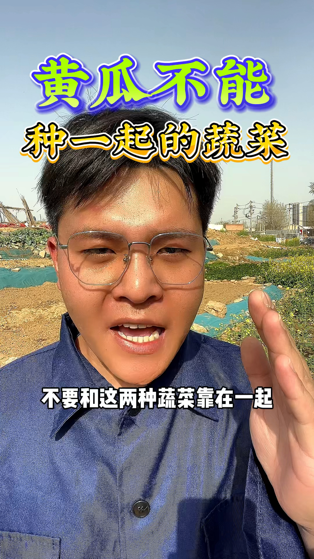 种植黄瓜不要和这两种蔬菜种在一起