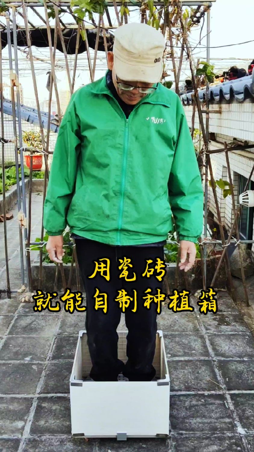 用瓷砖免打孔就能自制网红种植箱,简单实用!