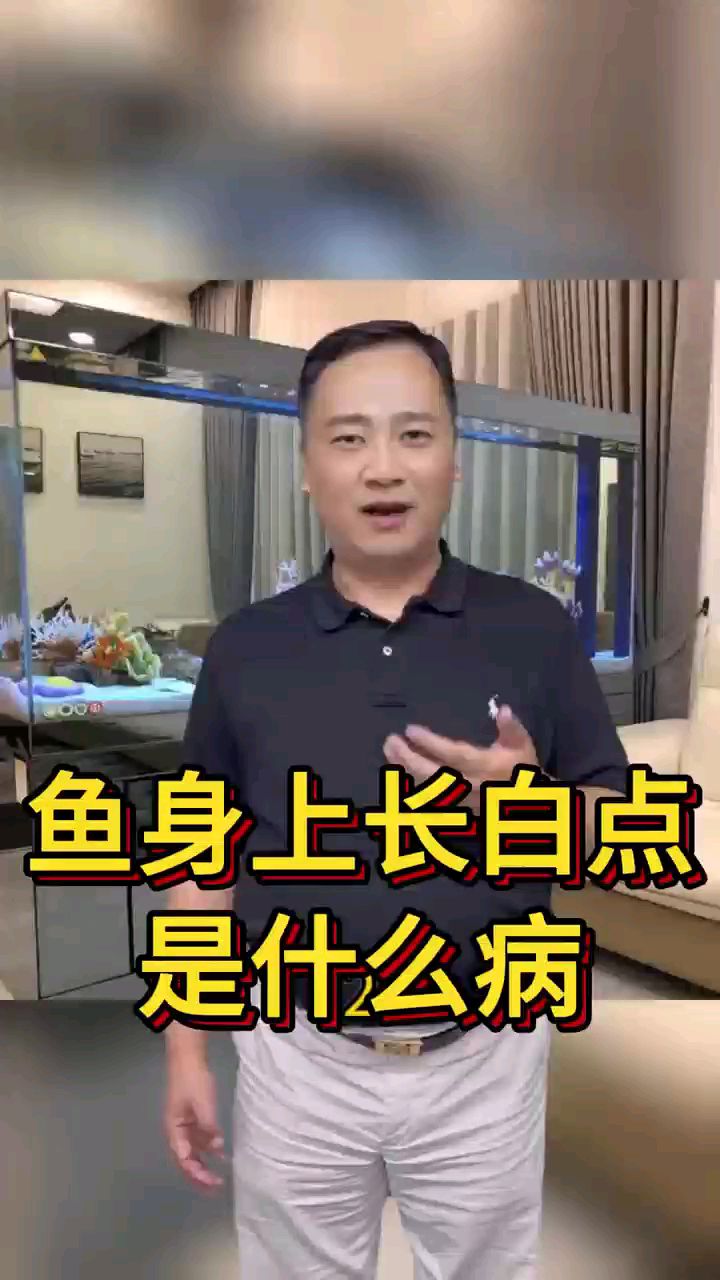 鱼身上长白点是什么病