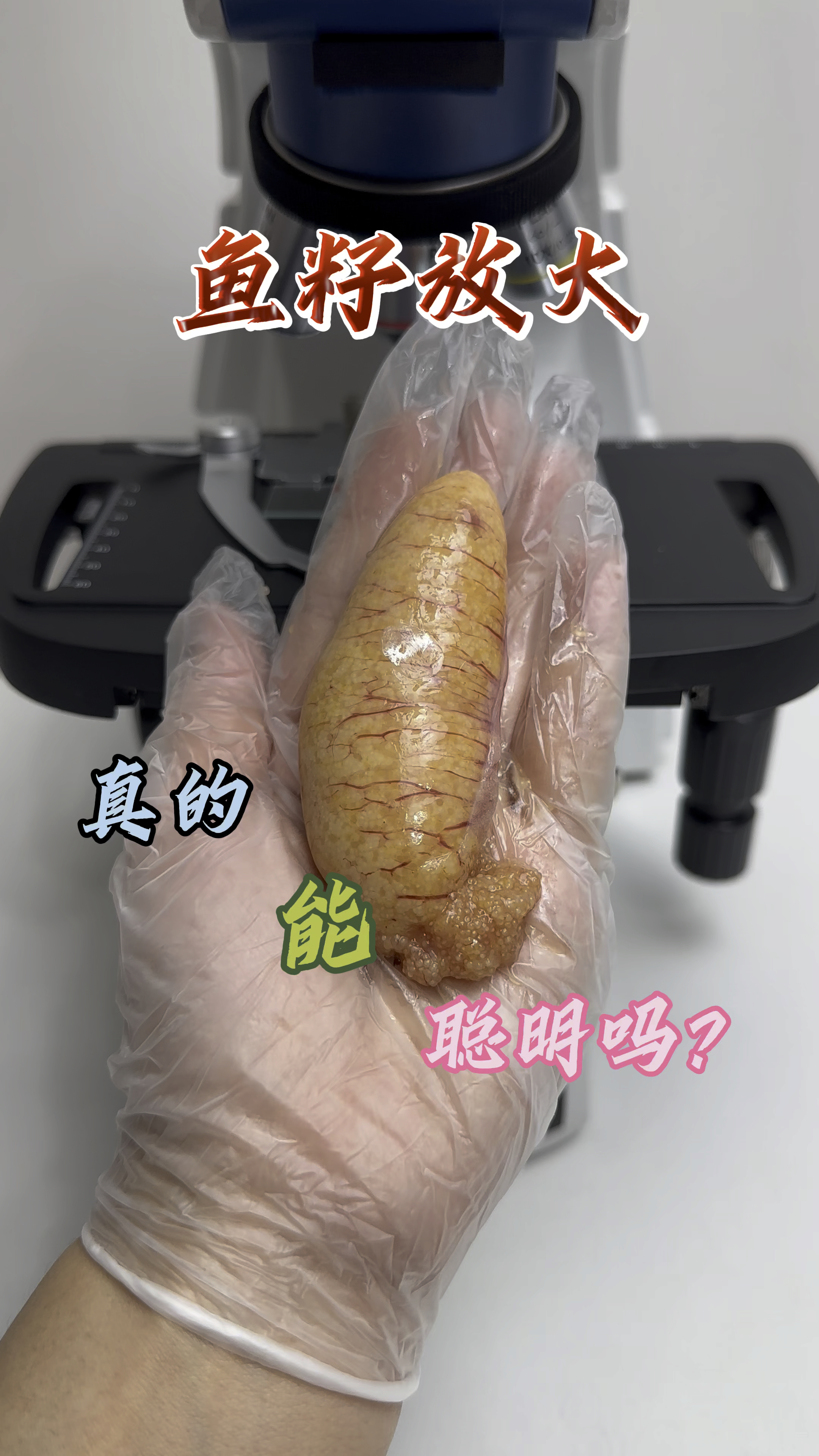 鱼籽你们爱吃吗?是吃掉它还是扔掉?