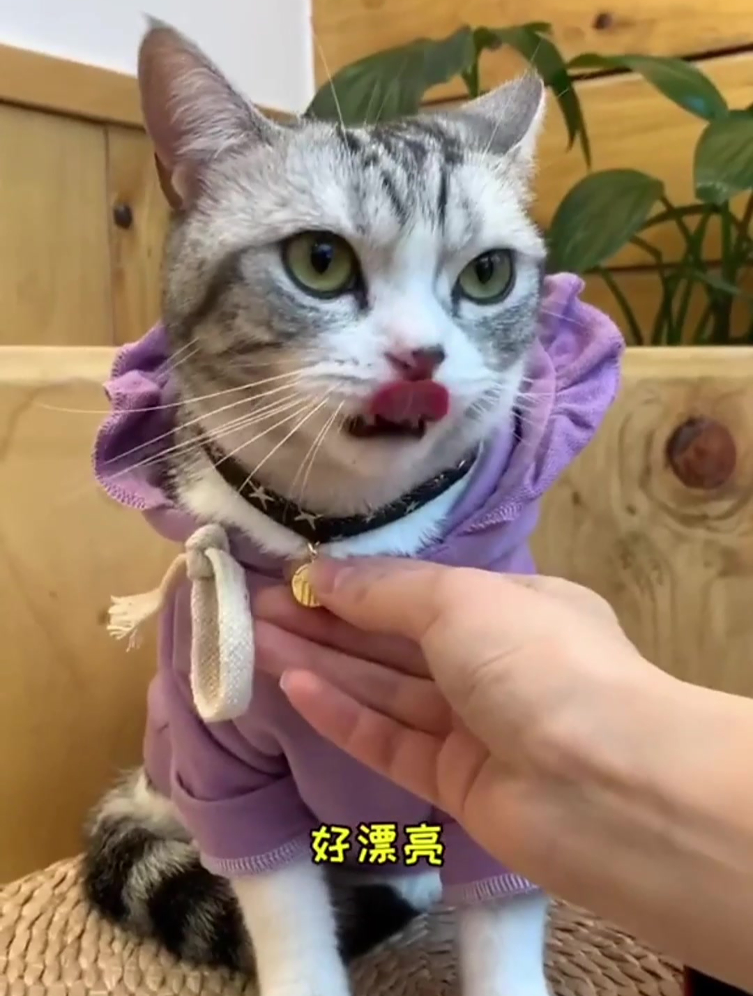 这是泡芙第二次见到安生了,关系好像缓和了那么一丢丢,太难了!